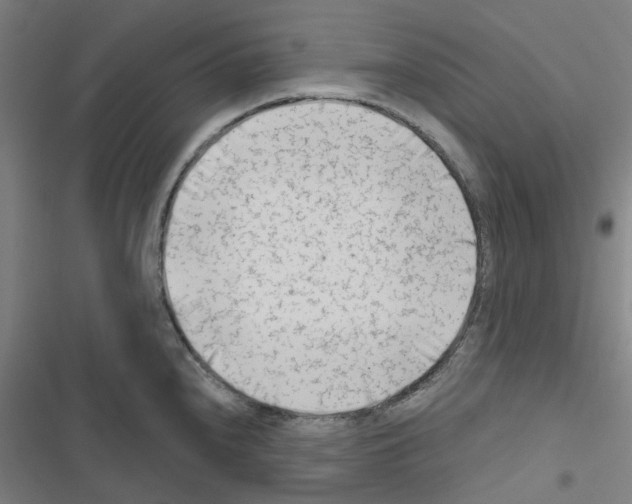 X0000116671240201001251232