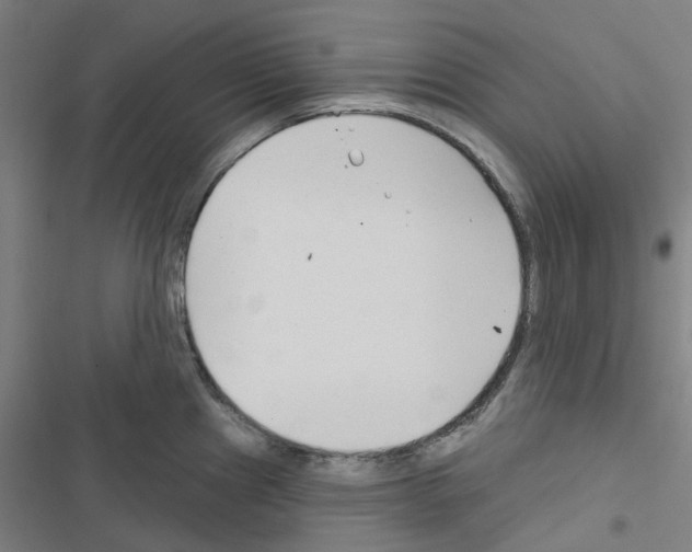 X0000116671241201001251232