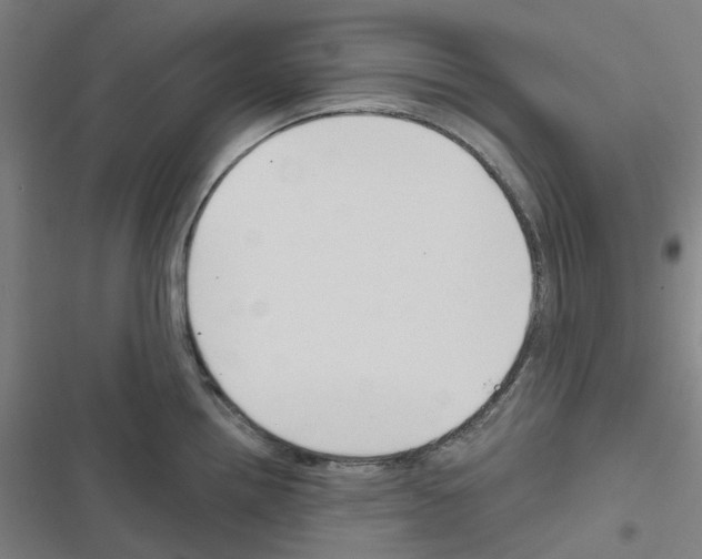 X0000116671242201001251232