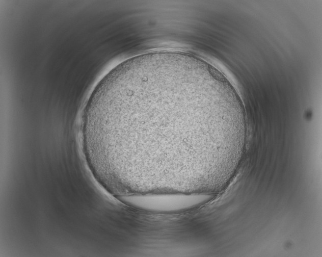 X0000116671243201001251232