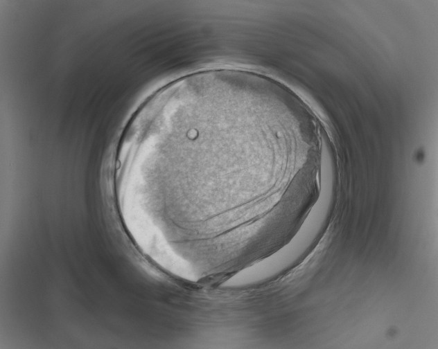 X0000116671246201001251232