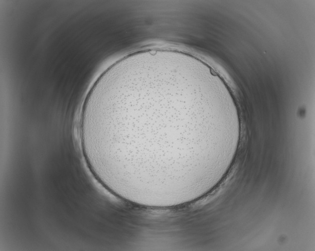 X0000116671247201001251232