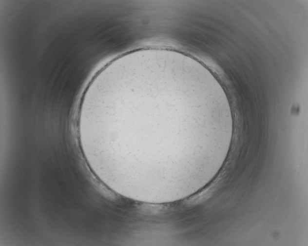 X0000116671248201001251232