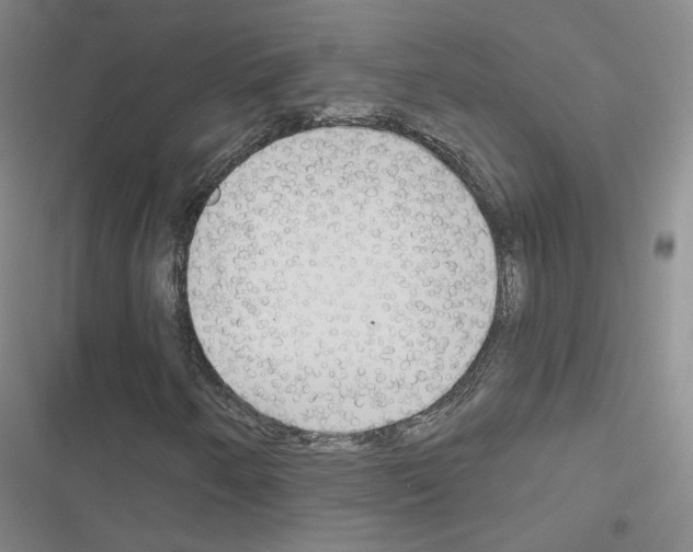 X0000116671250201001251231