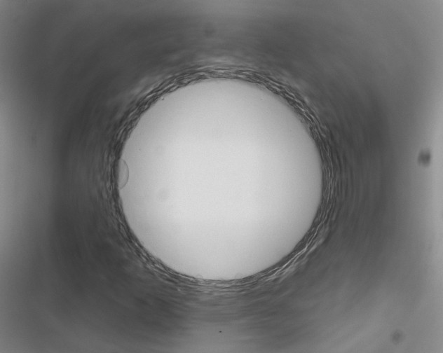 X0000116671253201001251231