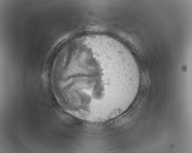 X0000116671254201001251231