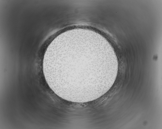 X0000116671255201001251231