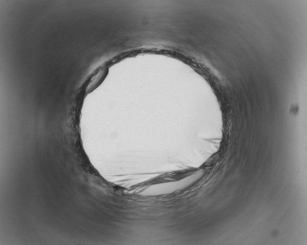 X0000116671256201001251231