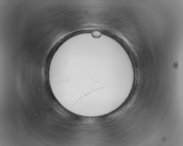 X0000116671259201001251231