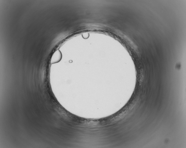 X0000116671261201001251231