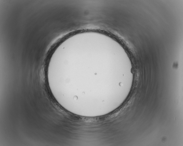 X0000116671262201001251231