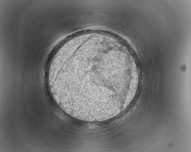 X0000116671263201001251231