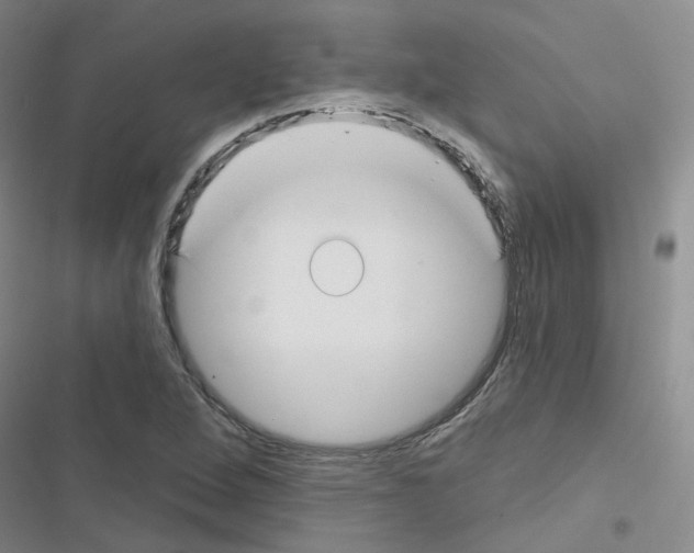 X0000116671264201001251231