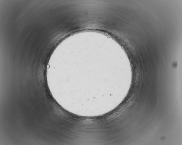 X0000116671265201001251231