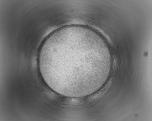 X0000116671266201001251231