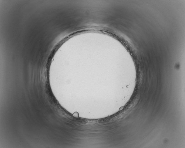 X0000116671267201001251231