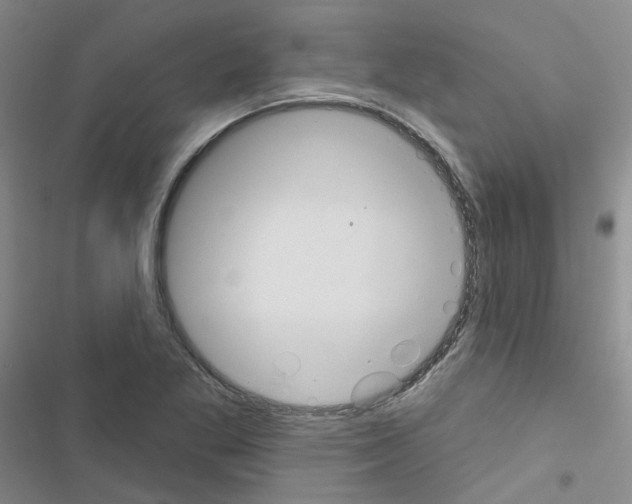 X0000116671269201001251231