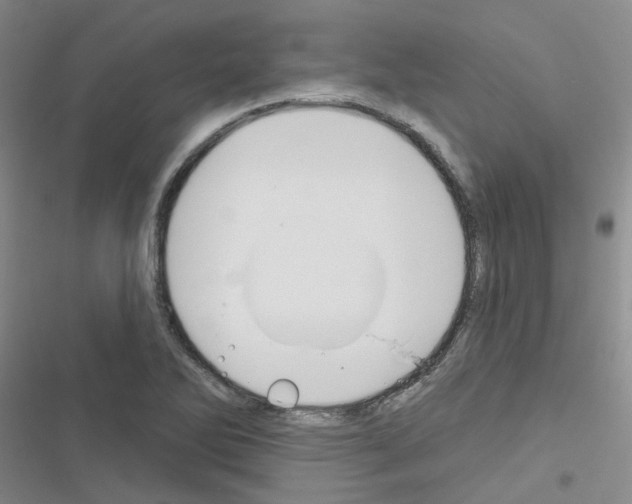 X0000116671270201001251231