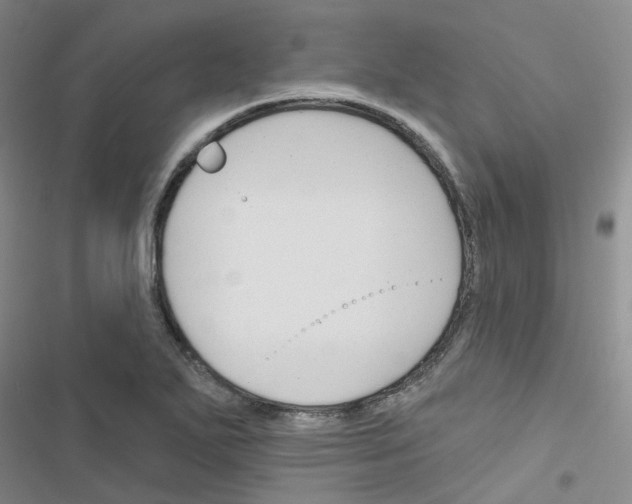 X0000116671271201001251231
