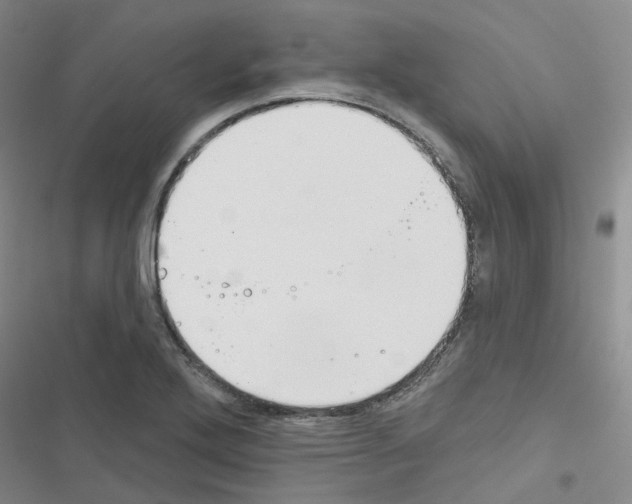 X0000116671272201001251231