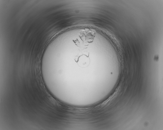 X0000116671273201001251231