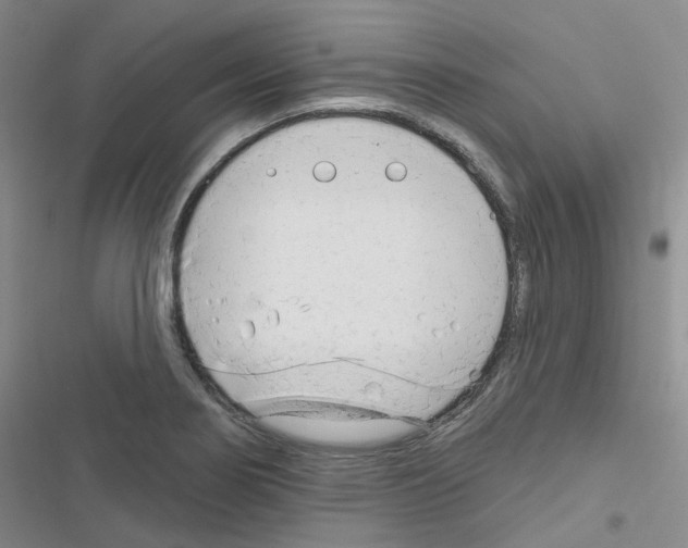 X0000116671274201001251231