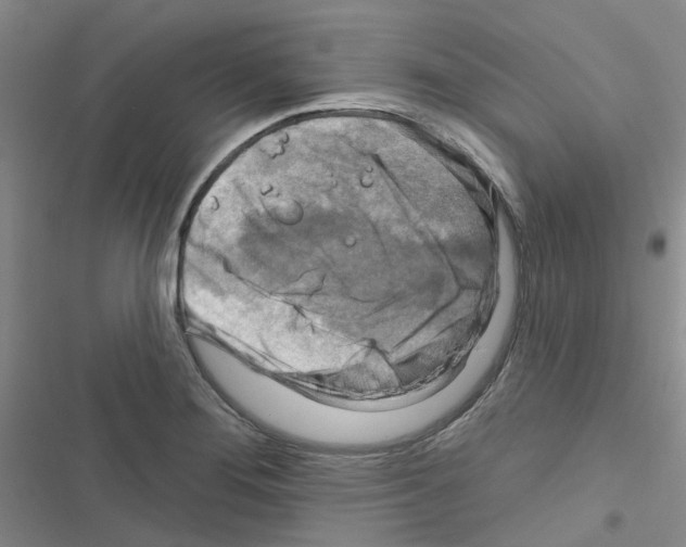X0000116671276201001251231