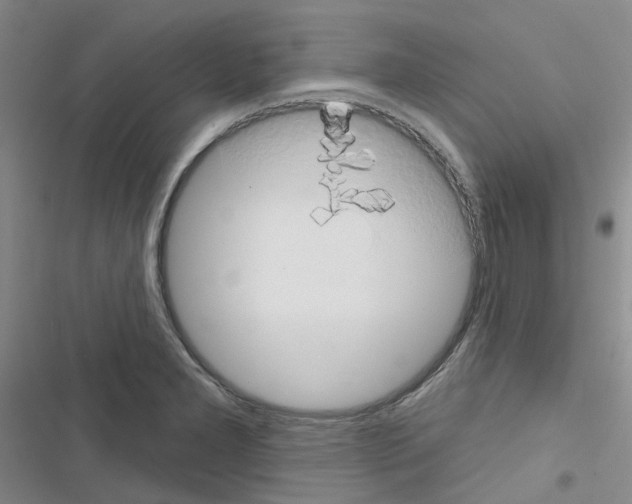 X0000116671277201001251231