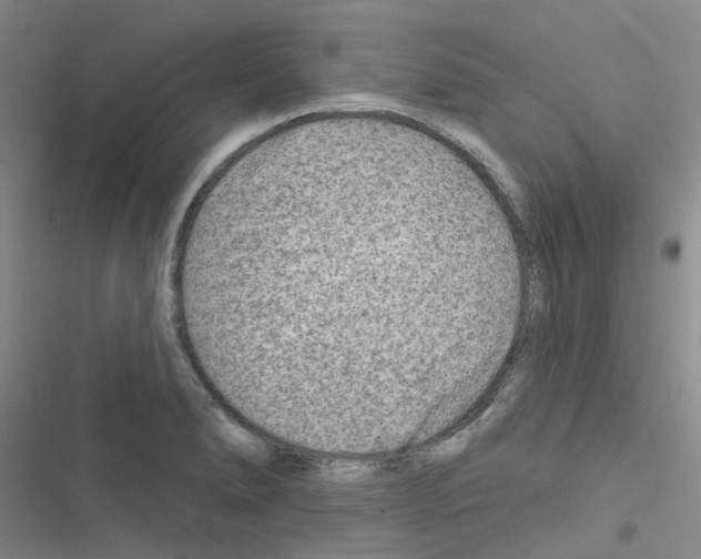 X0000116671278201001251231