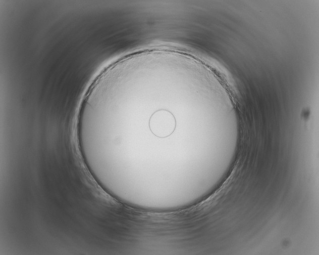 X0000116671280201001251231