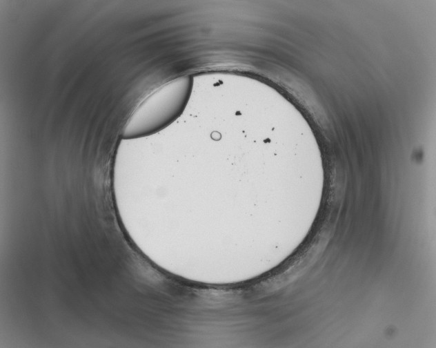 X0000116671281201001251231