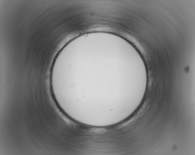 X0000116671282201001251231