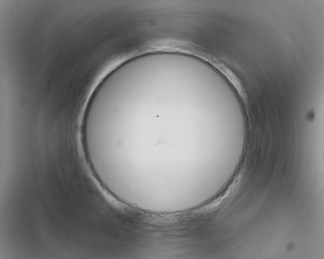 X0000116671285201001251231