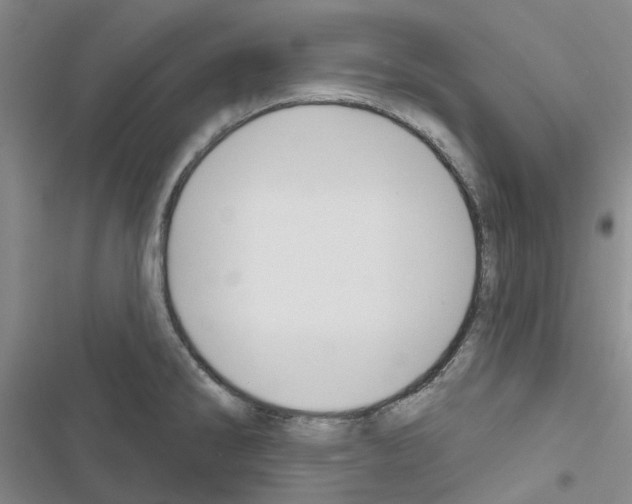 X0000116671286201001251231