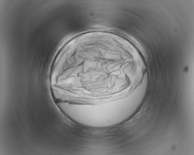 X0000116671291201001251231