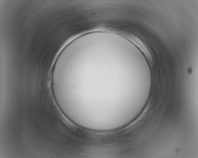 X0000116671292201001251231