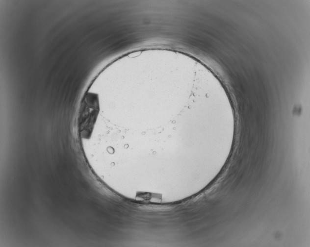 X0000116671296201001251231