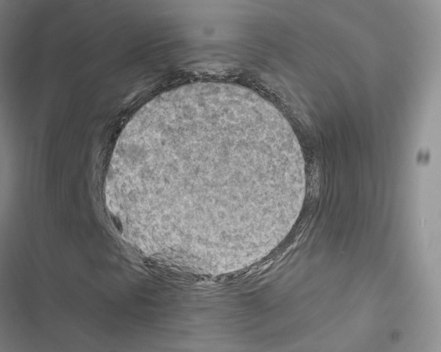 X0000116671297201001251230
