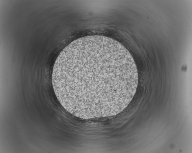 X0000116671298201001251230