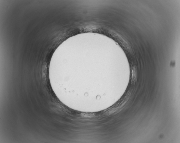 X0000116671299201001251230
