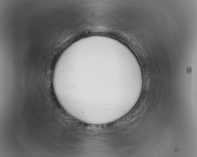 X0000116671301201001251230