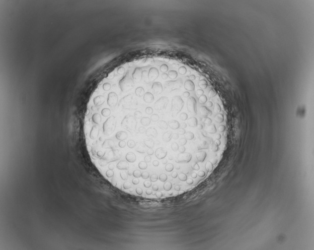 X0000116671302201001251230