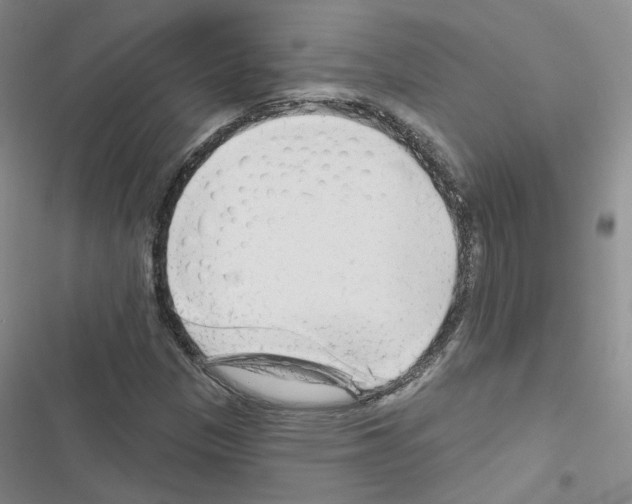 X0000116671305201001251230