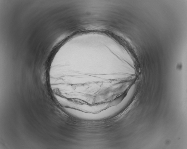 X0000116671306201001251230