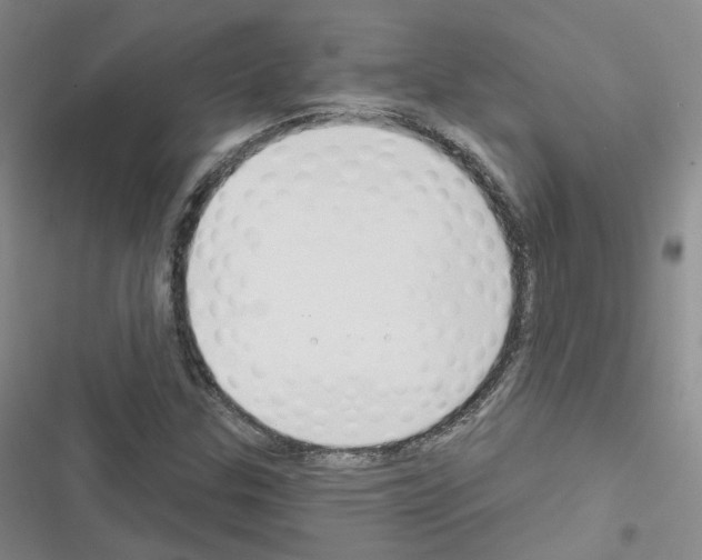 X0000116671307201001251230