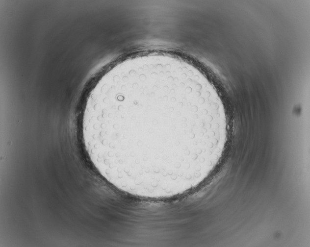 X0000116671309201001251230