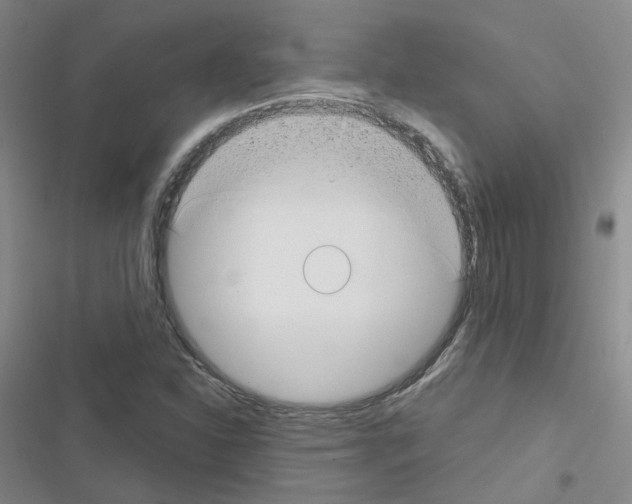X0000116671310201001251230