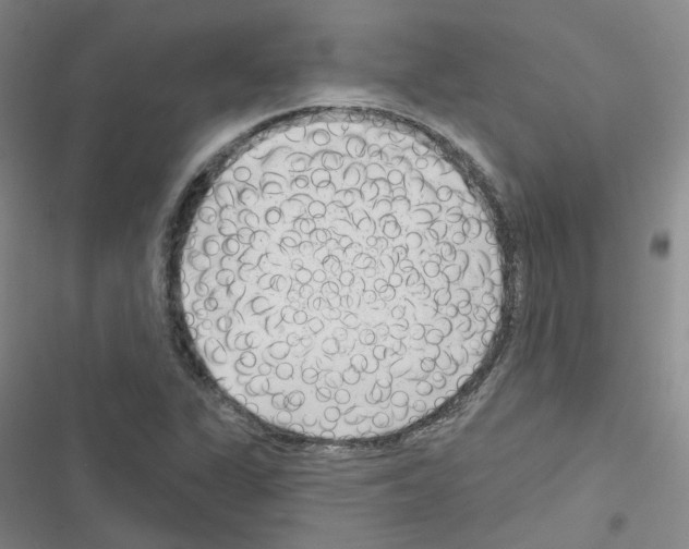 X0000116671311201001251230