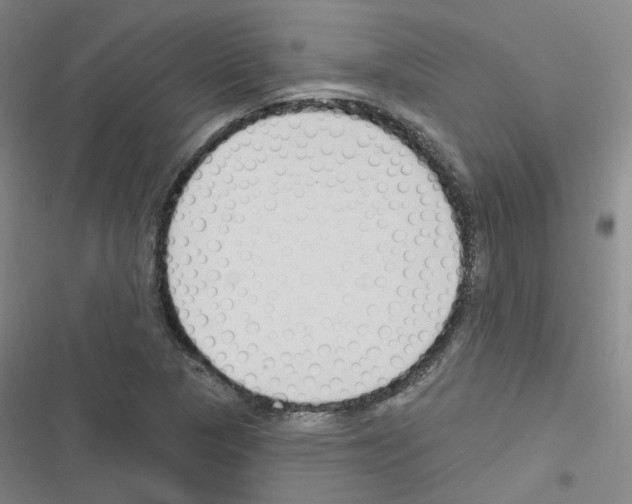 X0000116671313201001251230