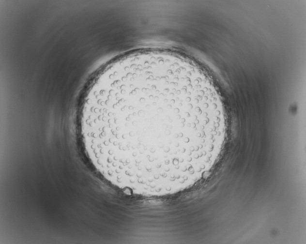 X0000116671315201001251230
